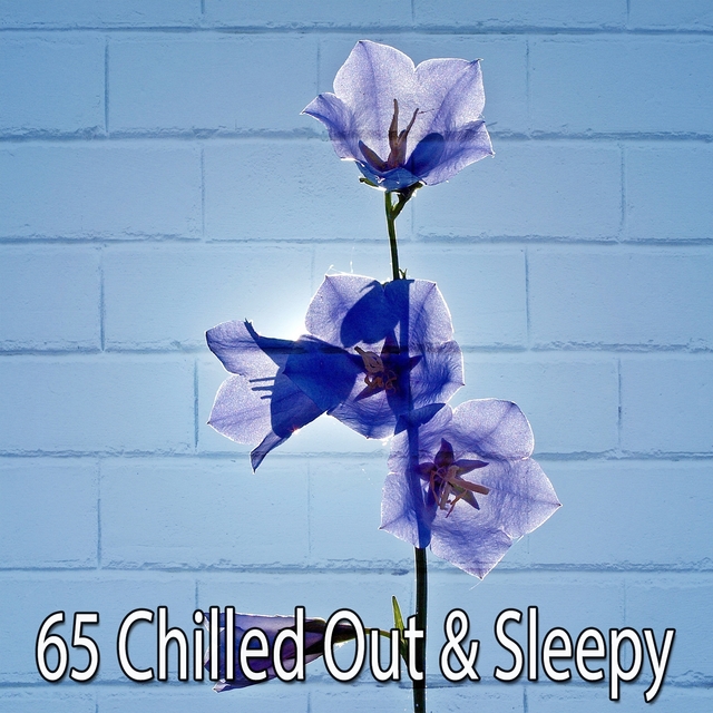 65 Chilled out & Sleepy