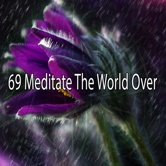 69 Meditate the World Over