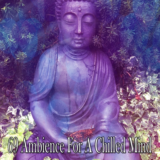 69 Ambience for a Chilled Mind