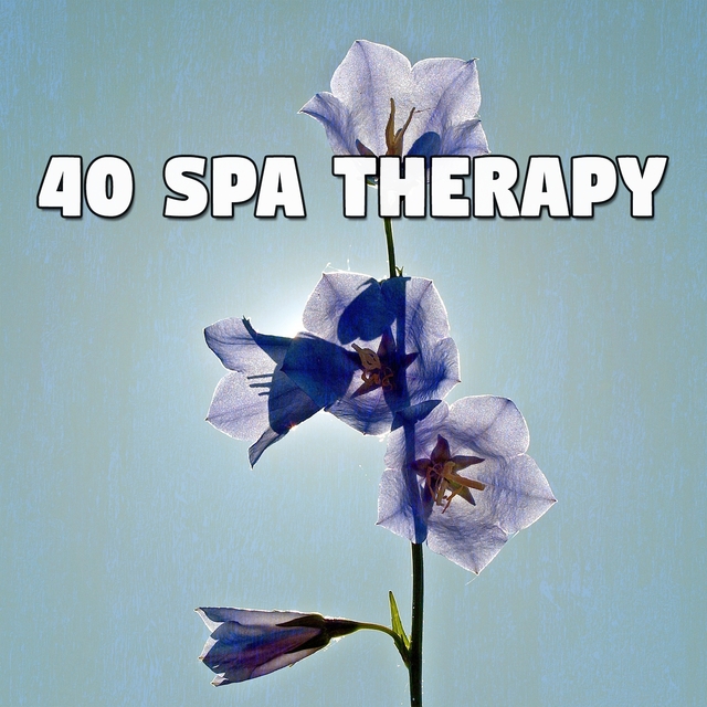 40 Spa Therapy