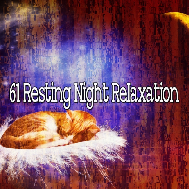 61 Resting Night Relaxation