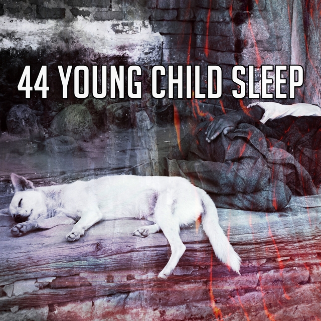 44 Young Child Sleep