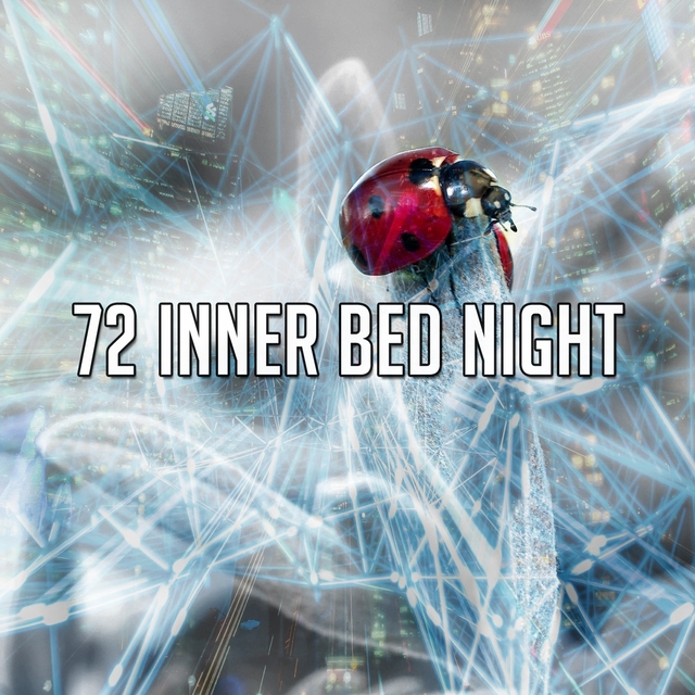 72 Inner Bed Night