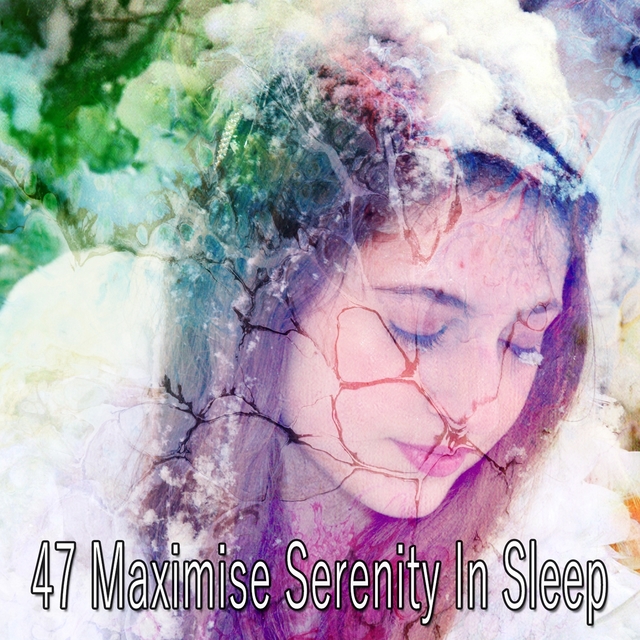 47 Maximise Serenity in Sleep