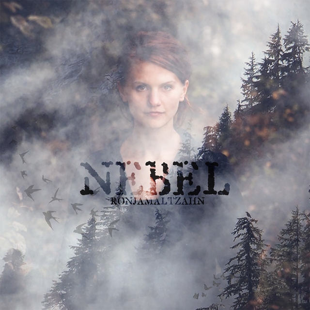 Couverture de Nebel