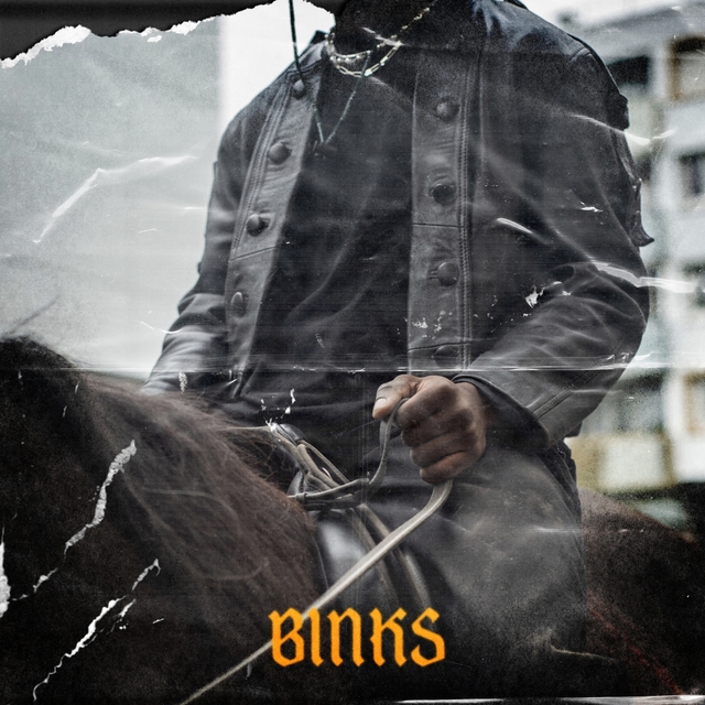 Couverture de Binks