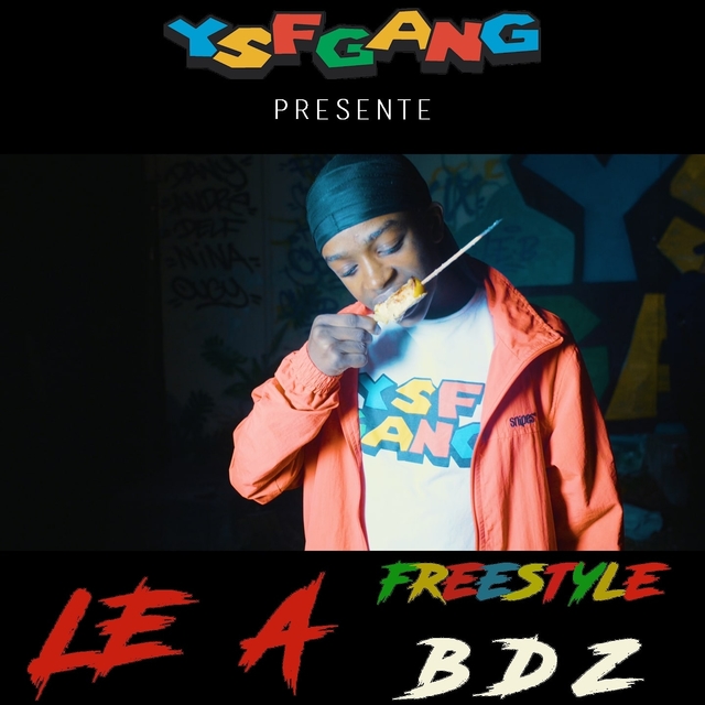 Couverture de Freestyle bdz