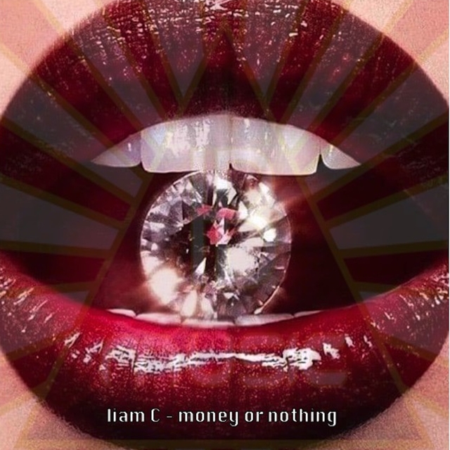 Couverture de Money or Nothing