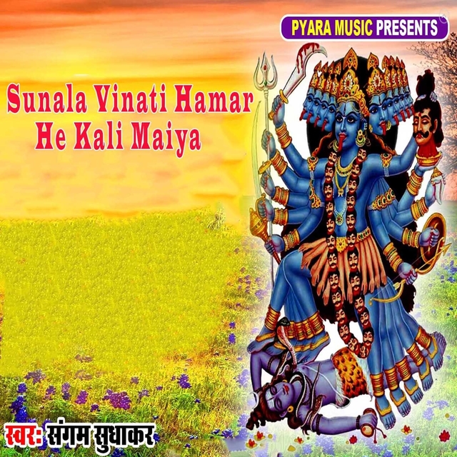 Couverture de Sunala Vinati Hamar He Kali Maiya