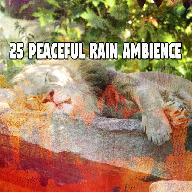 25 Peaceful Rain Ambience