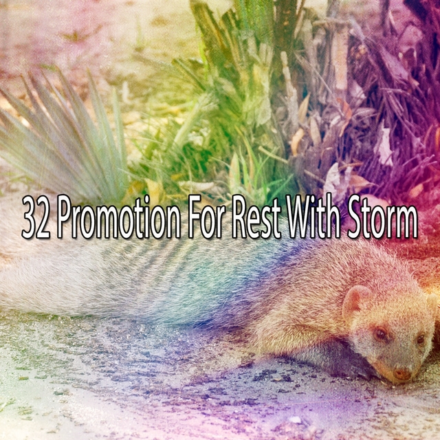 32 Promotion for Rest with Storm