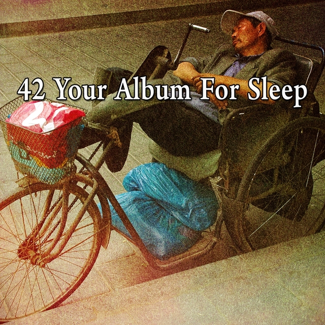 42 Your Album for Sleep