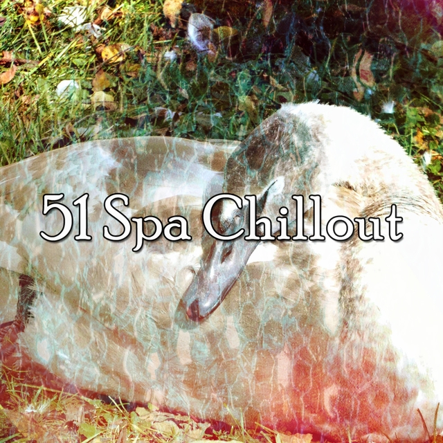 51 Spa Chillout