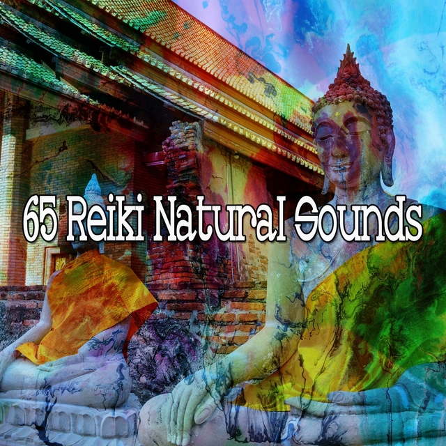 65 Reiki Natural Sounds