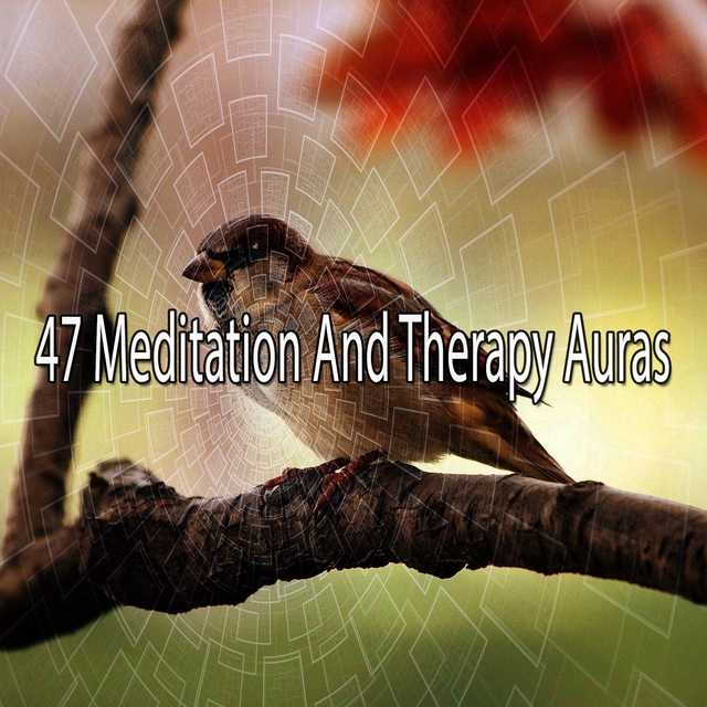 47 Meditation and Therapy Auras