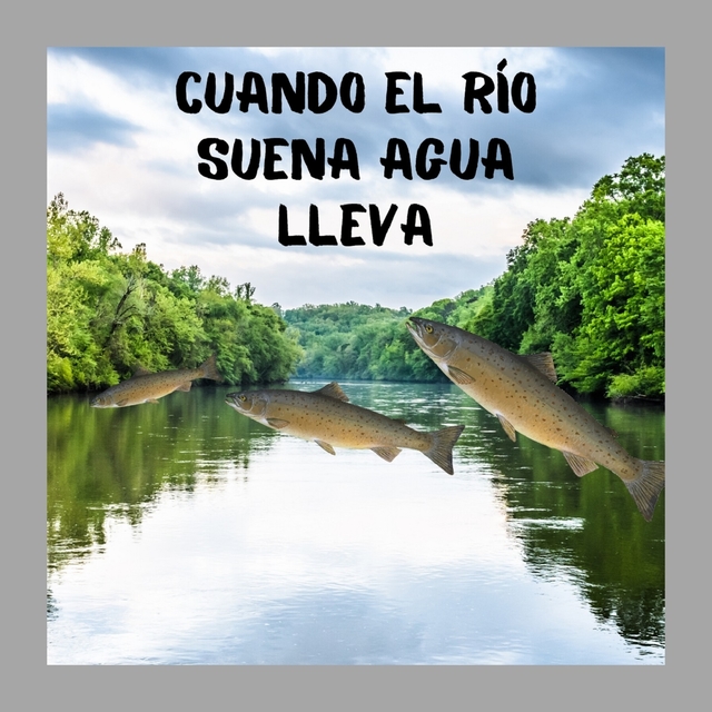 Couverture de CUANDO EL RIO SUENA AGUA LLEVA