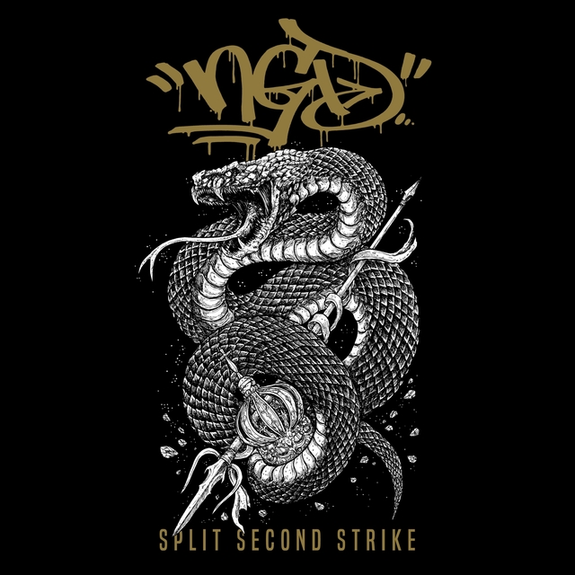 Couverture de Split Second Strike