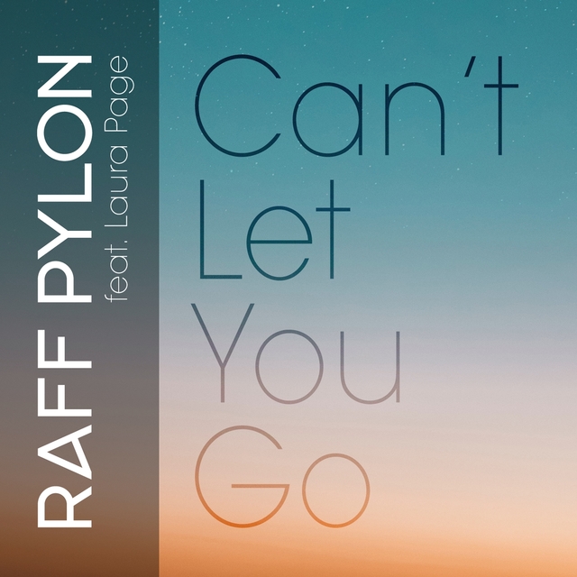 Couverture de Can't Let You Go