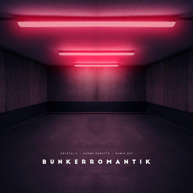 Couverture de Bunkerromantik