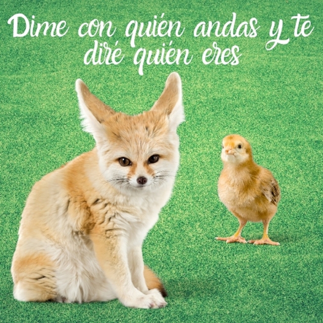 Couverture de Dime con quién andas y te diré quién eres