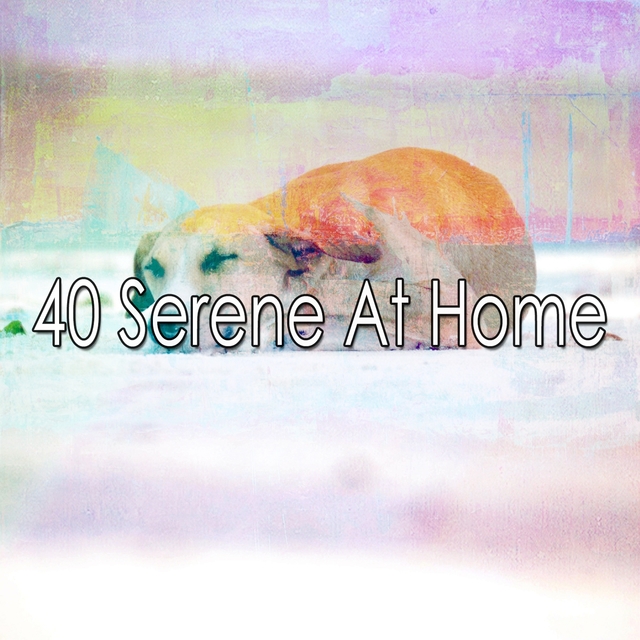 40 Serene at Home