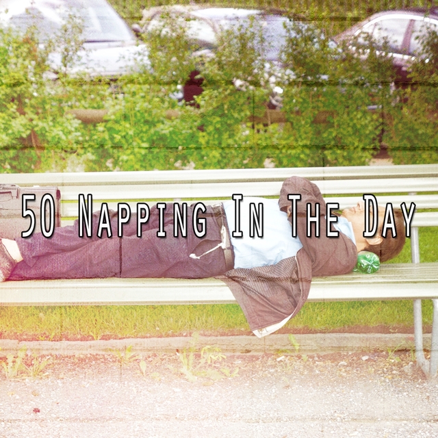 50 Napping in the Day