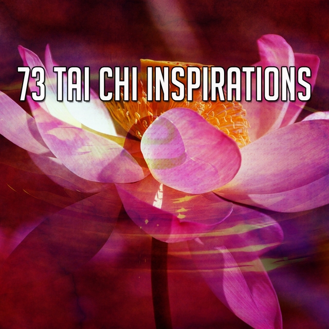 73 Tai Chi Inspirations