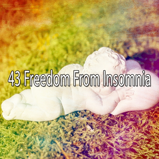 43 Freedom from Insomnia