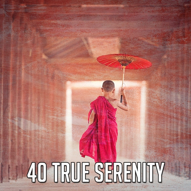 40 True Serenity