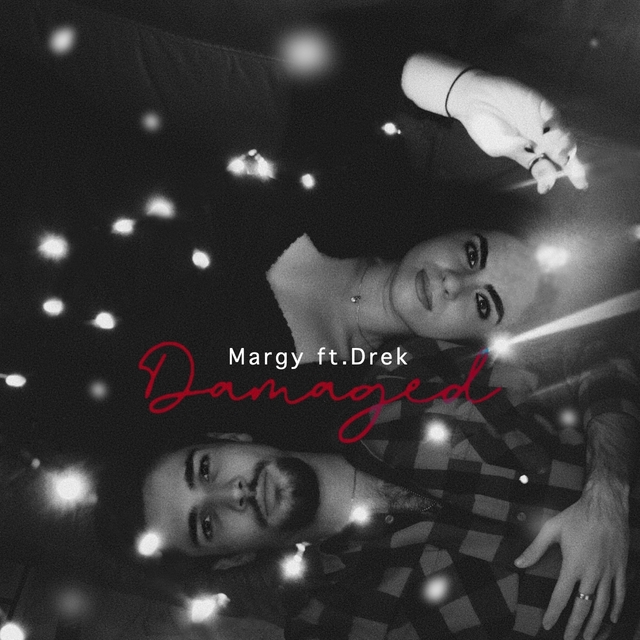 Couverture de Damaged