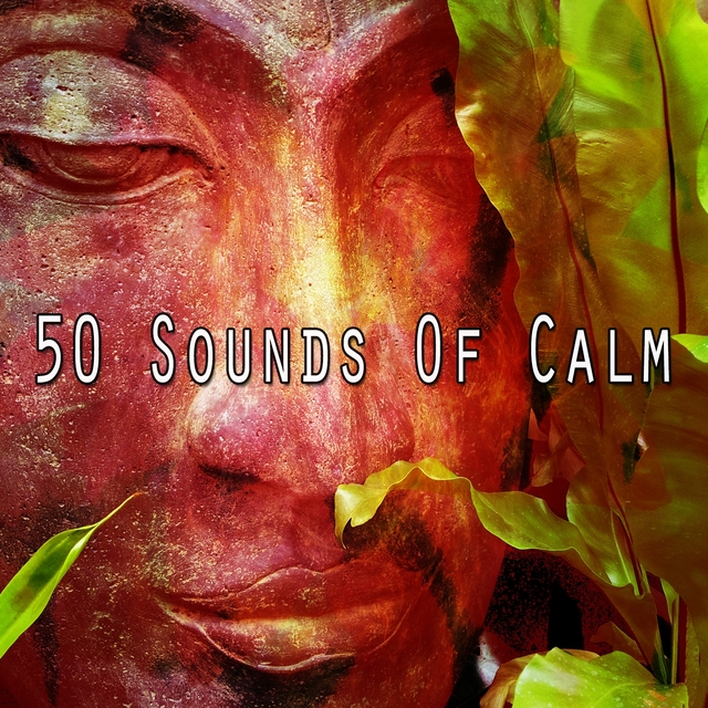 50 Sounds of Calm