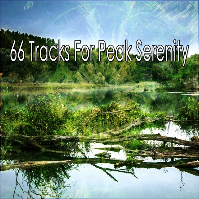 66 Tracks for Peak Serenity