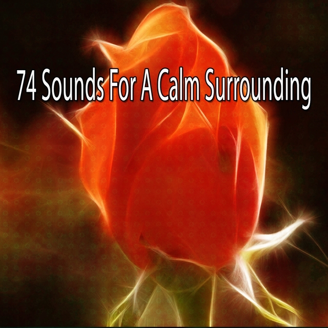 74 Sounds for a Calm Surrounding