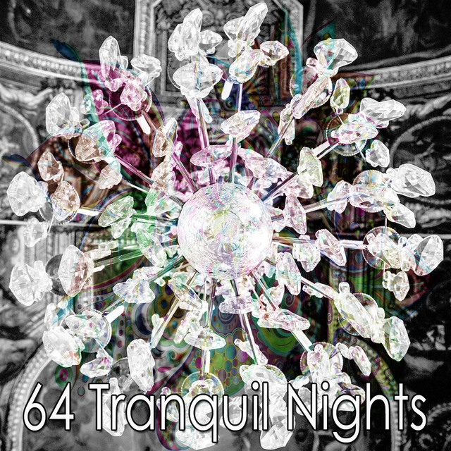 64 Tranquil Nights