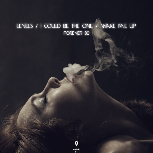 Levels / I Could Be The One / Wake Me Up