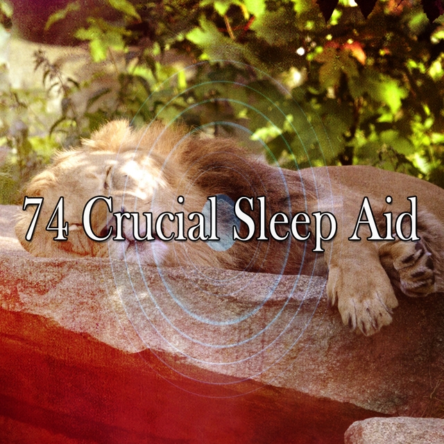 74 Crucial Sleep Aid