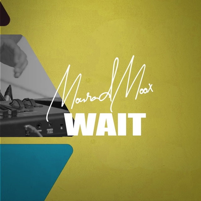 Couverture de Wait