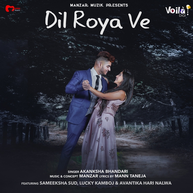 Couverture de Dil Roya Ve