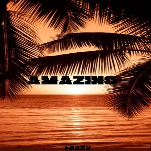 Couverture de Amazing