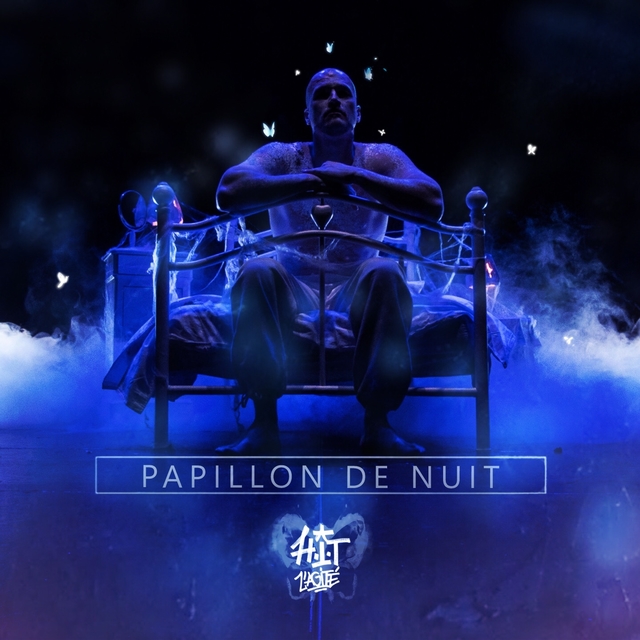 Couverture de Papillon de nuit