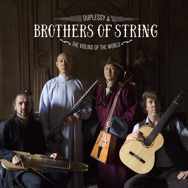 Couverture de Brothers of String