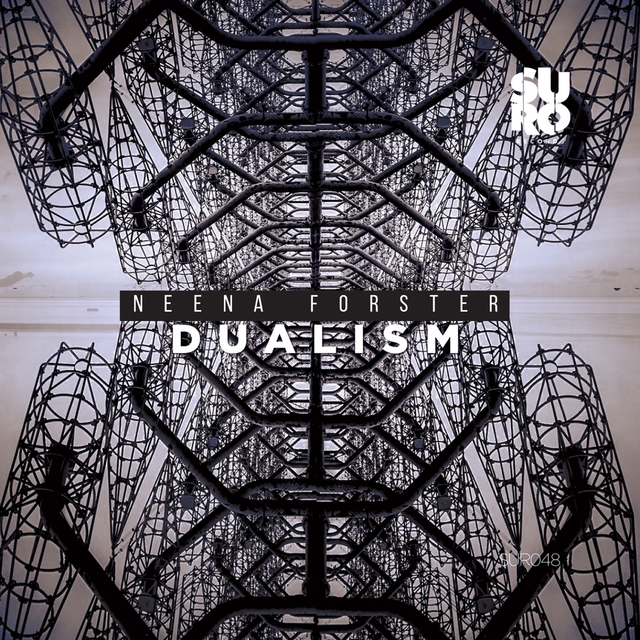 Couverture de Dualism