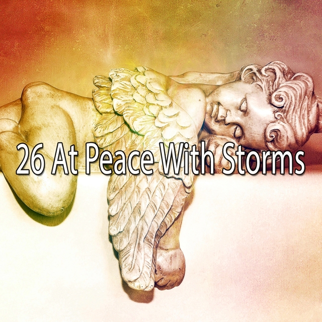 Couverture de 26 At Peace with Storms