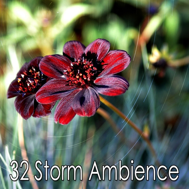 Couverture de 32 Storm Ambience