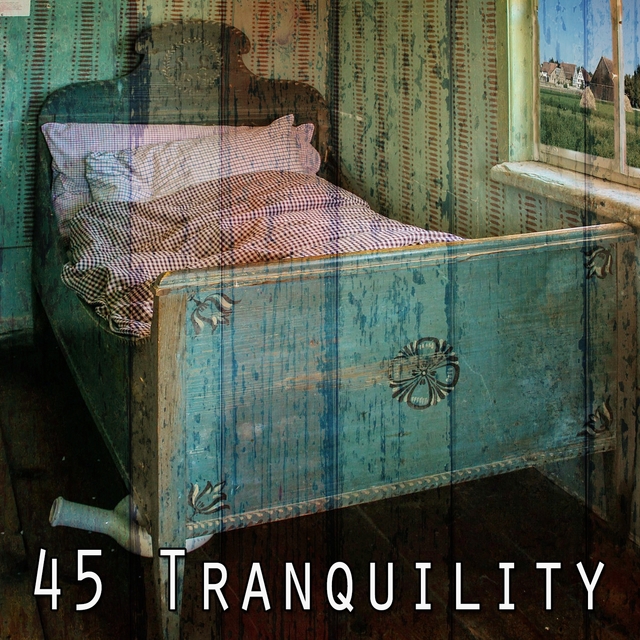 Couverture de 45 Tranquility