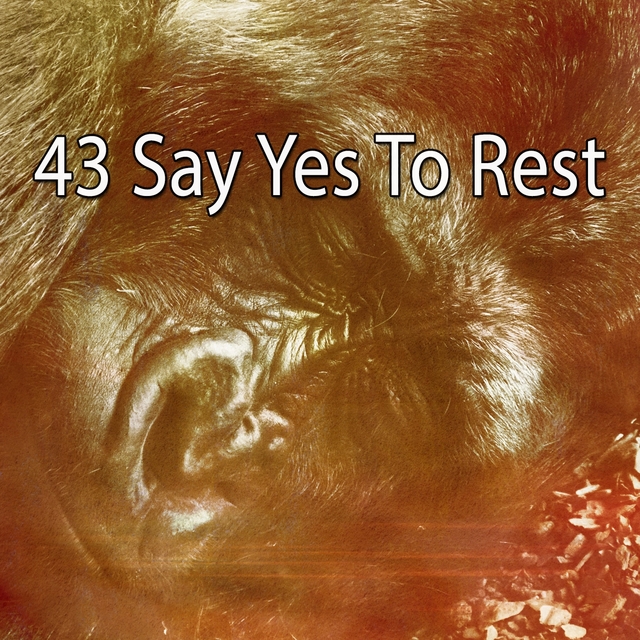 Couverture de 43 Say Yes to Rest