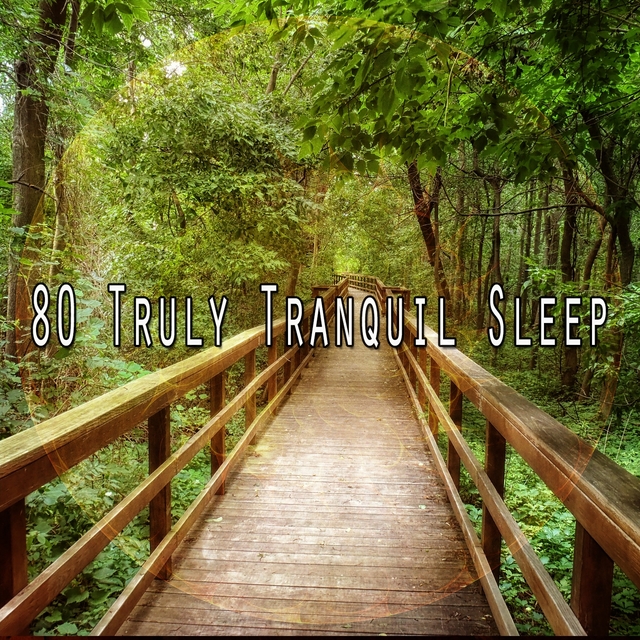 80 Truly Tranquil Sleep