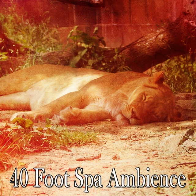 Couverture de 40 Foot Spa Ambience