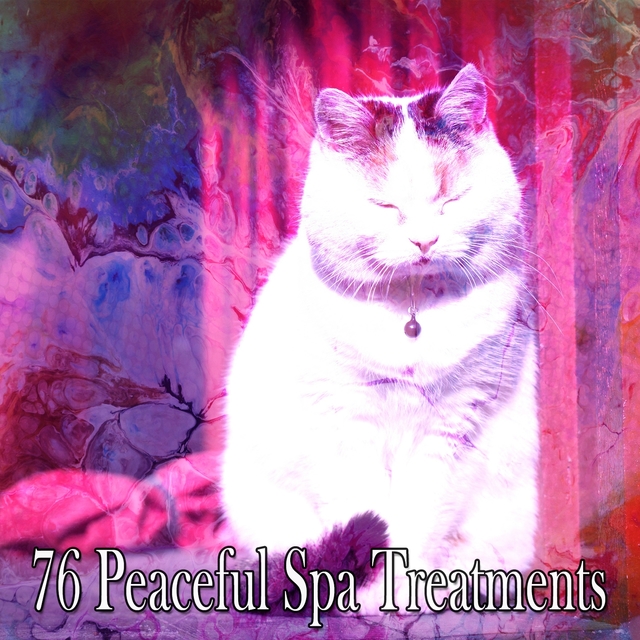 Couverture de 76 Peaceful Spa Treatments