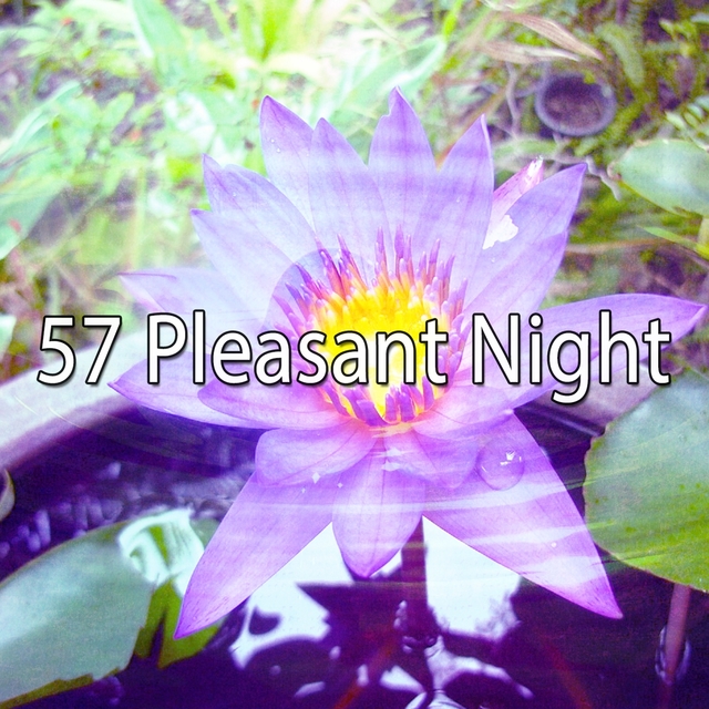 57 Pleasant Night